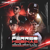 Perreo Medinas (Remix|Explicit) - MEDINAS&Perro Primo&DT.Bilardo&R Jota&Rodrii Ortiz&Dj Plaga