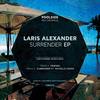 Friends (Original Mix) - Laris Alexander