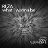 What I Wanna Be (Alexander B Remix) - Ri Za