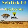 Mphanama (Original Mix) - SebTick DJ