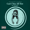 Can't You All See (Ash ISmael Remix|Explicit) - Ash Ismael&Lenna Bahule