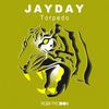 Torpedo (Original Mix) - JayDay