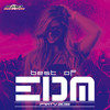 Run The Rave - DJ Nishino