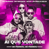 Ai Que Vontade de Namorar, Já Passou, Já Passou - DJ F7&DJ Paula Maldi&Mc Sapinha&MC Buraga