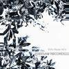 Sound of Silver (Miroslav Wilde Remix) - Red Wing&Miroslav Wilde