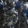 Perched - Concurrency