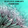 Flowers - Ivan Fly Corapi