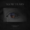 Slow Tears - Gianluca Dimeo