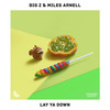 Lay Ya Down - BIG Z&Miles Arnell