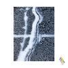 Just You Wait (Paint My Walls Red) (feat. Torin) - SAVAGE&Torin