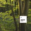 Blind Forest (Original Mix) - Brada&Grove