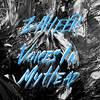 Voices in My Head - Zaheer&Joel Rojas