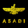 Transcendence - ASADI