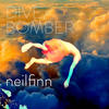 Divebomber - Neil Finn