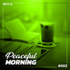 Feelings (Original Mix) - Aziz Roshdy