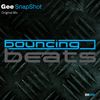 Snapshot (Original Mix) - Gee
