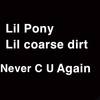 Never C U Again - Lil Pony&Lil Coarse Dirt