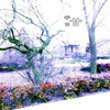 千口甘 (Original Mix) - Rant Marson Zander