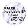 Invaluable (MINT Remix) - Malek