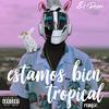 Estamos Bien Tropical (Remix) - El Perro