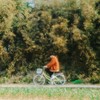 널 잊고 봄 - 정진운