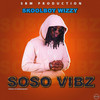 Soso Vibz (Explicit) - Skoolboy Wizzy