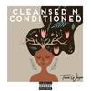 Cleansed N Conditioned (Explicit) - Travis Wayne