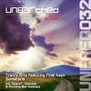 Sunstorm (Original Mix) - Trance Arts&Final Aeon