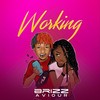 Working - Brizz Aviour