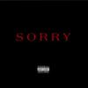 Sorry (Explicit) - Dr3