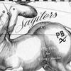Sagiters - 瞿子千&邓见超
