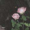 Roses (Explicit) - Lucidity