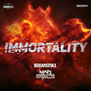 Immortality (Original Mix) - BreakStyle&Mind Controller