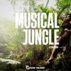 Musical Jungle (Original Mix) - DJ No Sugar