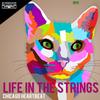 Chicago Heartbeat - Life in the Strings