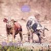 Anomaly (Original Mix) - Bultech