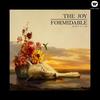 Little Blimp - The Joy Formidable