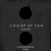 Shape Of U (Cover) - Alison Wonderland&Naderi