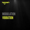 Vibration (Original Mix) - Modulation