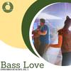 Just Fine (EDM Festival Future Bass) (Original Mix) - King Mathew
