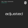 NewLife (Lange Remix) - The Thrillseekers&Lange