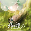 爱不落 - 许艺娜