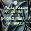 Anamorphic (Original Mix) - Wilian Kraupp