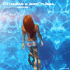 Cueca (Rosario Remix) - DJ Habias&Eddy Tussa&Unknown Singer