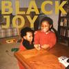 Black Joy(feat. Michelle Higgins) - Seaux Chill&Summer Dregs&Michelle Higgins