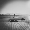 谢了 - 司徒骏文