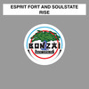 Rise (Club Mix) - Esprit Fort and SoulState&Esprit Fort&SoulState