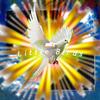 Little Birds (Explicit) - Jorge O.