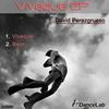 Vivaque (Original Mix) - David Perezgrueso