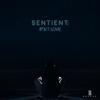 Unwind (feat. Coutain) - 80sede&Coutain
